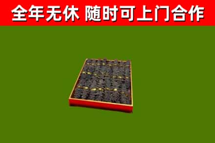 合水回收海参